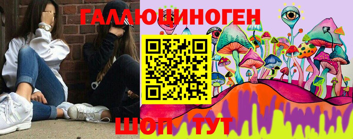 Екатеринбург  Галлюциногенные грибы Psilocybine cubensis  Вход с VPN  Псилоцибиновые грибы мухоморы 