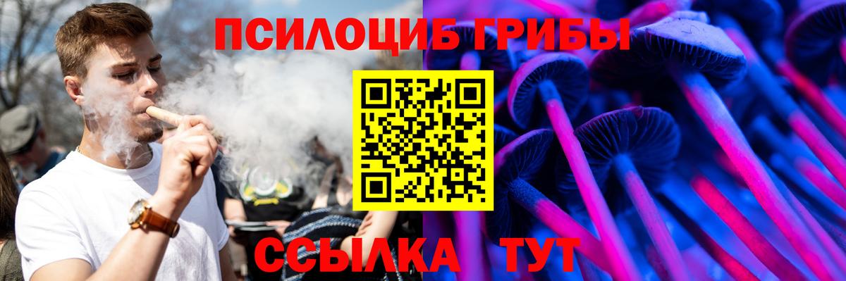 Псилоцибиновые грибы мухоморы Екатеринбург